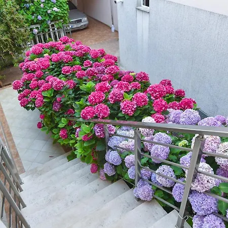 Apartahotel Suzana Lux 3*